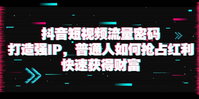 抖音短视频流量密码：打造强IP，普通人如何抢占红利，快速获得财富-会创网