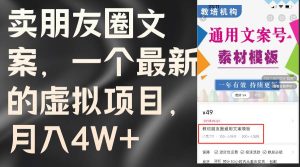 卖朋友圈文案，一个最新的虚拟项目，月入4W+（教程+素材）-会创网