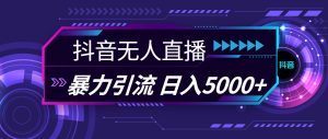 抖音无人直播，暴利引流，日入5000+-会创网