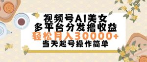 视频号AI美女，轻松月入30000+,操作简单轻松上手-会创网
