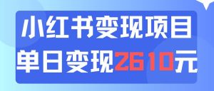 利用小红书卖资料单日引流150人当日变现2610元小白可实操（教程+资料）-会创网