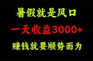 一天收益3000+ 赚钱就是顺势而为，暑假就是风口-会创网
