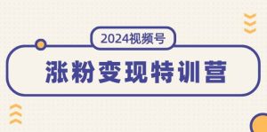 2024视频号-涨粉变现特训营：一站式打造稳定视频号涨粉变现模式（10节）-会创网