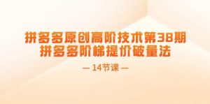 拼多多原创高阶技术第38期，拼多多阶梯提价破量法（14节课）-会创网