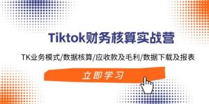 Tiktok财务核算实战营：TK业务模式/数据核算/应收款及毛利/数据下载及报表-会创网