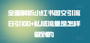 全面解析小红书图文引流日引100私域流量是怎样做到的-会创网
