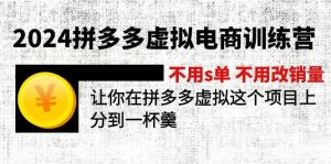 2024拼多多虚拟电商训练营 不s单 不改销量  做虚拟项目分一杯羹(更新10节)-会创网