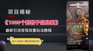 抖音一千个野路子信息差最新玩法教程-变现＋引流的玩法具体拆解-会创网