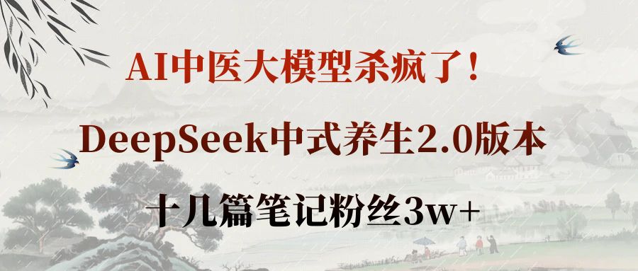 AI中医大模型杀疯了！DeepSeek中式养生2.0版本，十几篇笔记粉丝3w+-会创网
